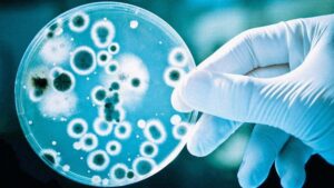 Leia mais sobre o artigo Nova classe de antibióticos é capaz de matar superbactérias