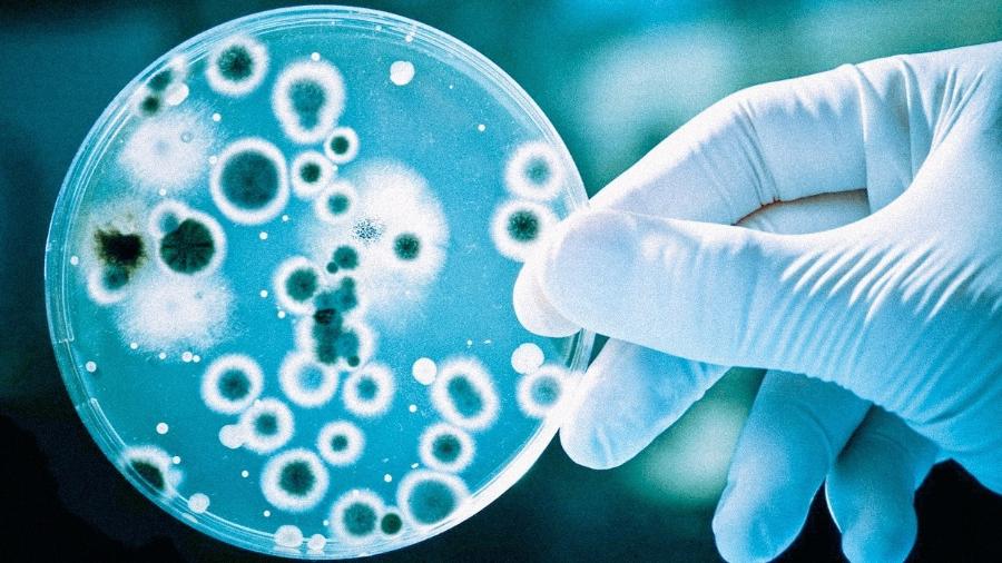 No momento, você está visualizando Nova classe de antibióticos é capaz de matar superbactérias