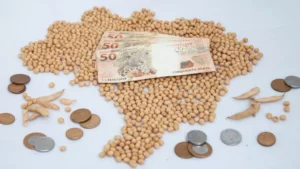 Leia mais sobre o artigo 5 fatores que mexeram com o mercado da soja nesta semana