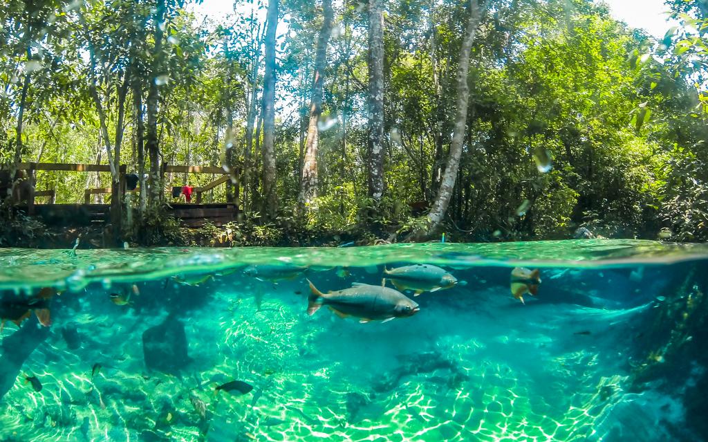 No momento, você está visualizando TURISMO: Passagens mais baratas prometem aquecer viagens em MT