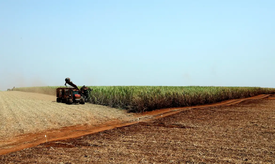 No momento, você está visualizando Projeção da safra de grãos 2023/24 cai para 306,4 milhões de toneladas