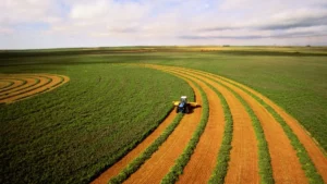 Leia mais sobre o artigo Ministro Fávaro debate boas práticas do agro brasileiro com banco de desenvolvimento alemão