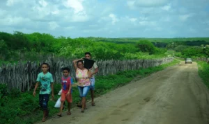 Leia mais sobre o artigo Acompanhamento de famílias para fomento rural é regulamentado