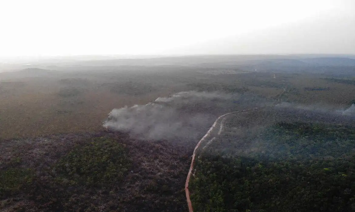 No momento, você está visualizando Área queimada no Brasil cresce 248% em relação a janeiro de 2023