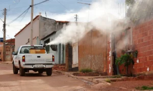 Leia mais sobre o artigo Ivermectina não é eficaz contra dengue, alerta Ministério da Saúde