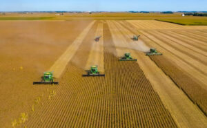 Leia mais sobre o artigo Mapa e BNDES anunciam mais de R$ 6 bilhões em linhas de crédito para apoiar o agronegócio