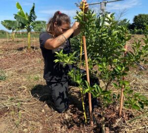 Leia mais sobre o artigo Pesquisa auxilia produtores familiares na irrigação e manejo da água