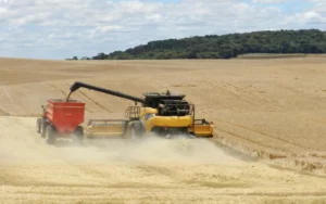 Leia mais sobre o artigo Brasil virou “celeiro do mundo”, liderando exportação de 7 alimentos