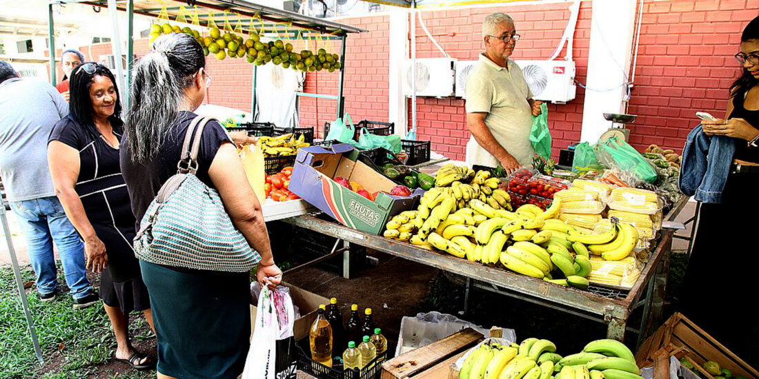 No momento, você está visualizando Feira da Agricultura familiar de Várzea Grande retorna ao município