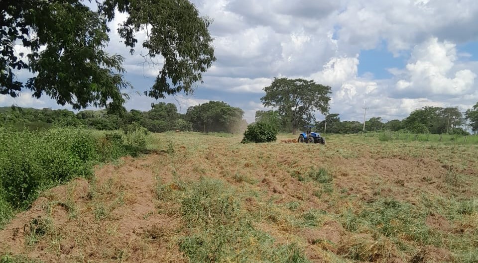 No momento, você está visualizando Prefeitura de Rondonópolis cria programa de incentivo para atender pequenos produtores rurais