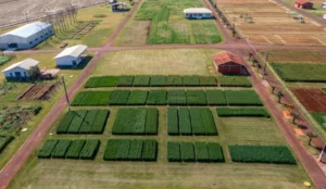 Leia mais sobre o artigo Começou a 3ª edição da Show Rural com apoio do Sistema Famato
