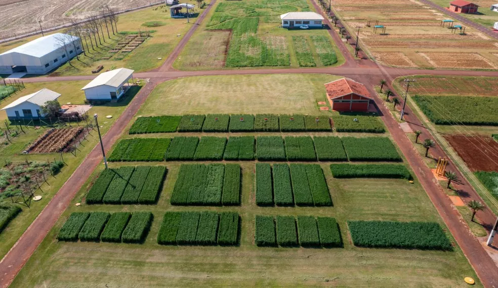 No momento, você está visualizando Começou a 3ª edição da Show Rural com apoio do Sistema Famato