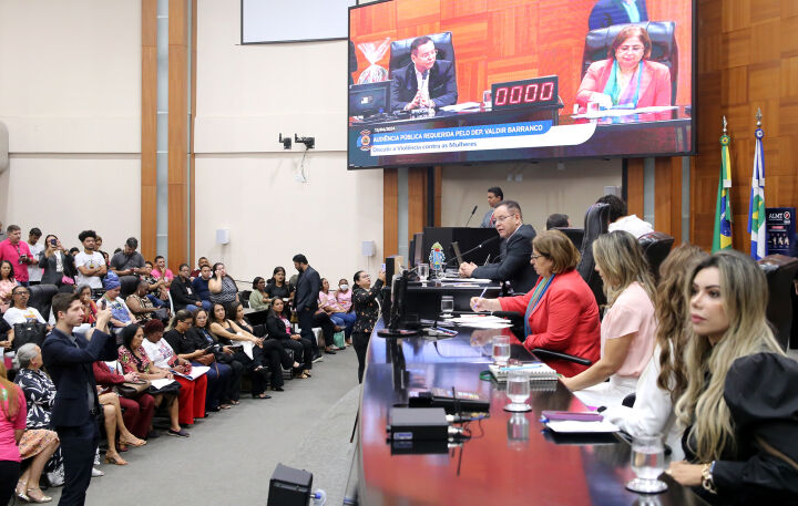No momento, você está visualizando Audiência pública com ministra das Mulheres debate violência de gênero