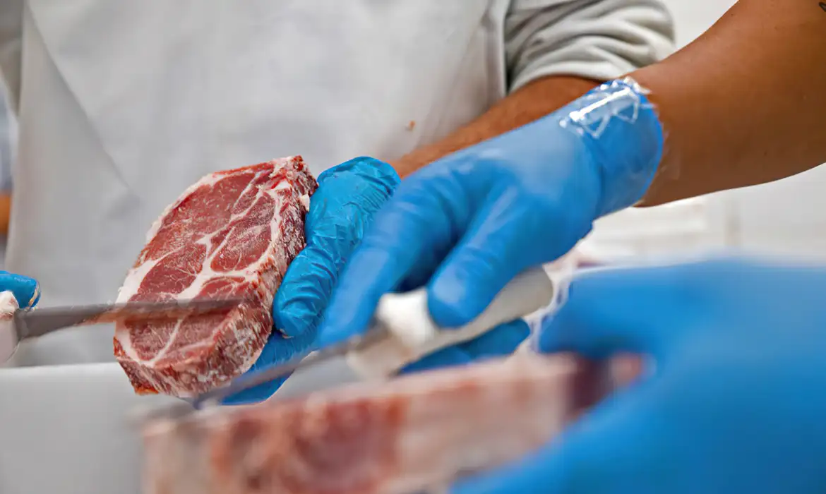 No momento, você está visualizando CONAB: Aumento na produção de carnes deve manter preços baixos
