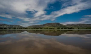 Leia mais sobre o artigo Estados se unem para enfrentar desmatamento no Pantanal