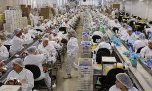 Leia mais sobre o artigo Produção da indústria recua 0,3% em fevereiro, revela IBGE