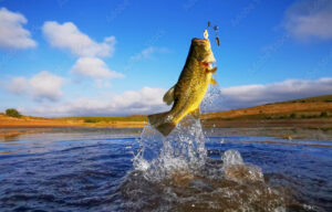 Leia mais sobre o artigo Turismo de pesca movimenta economia de municípios mato-grossenses