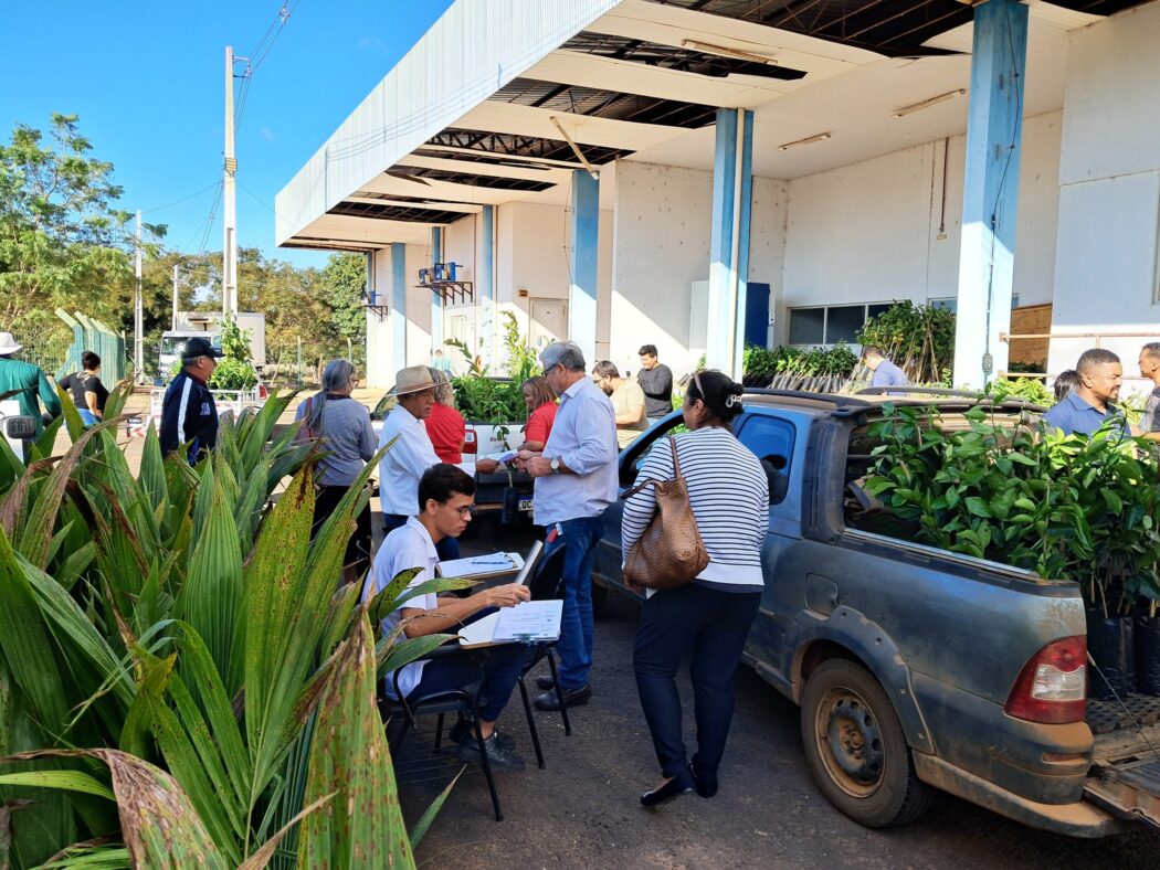 No momento, você está visualizando Agricultura entrega 2.500 mudas frutíferas para pequenos agricultores