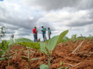 Leia mais sobre o artigo Setor de fretes do agronegócio brasileiro registra crescimento expressivo em 2023