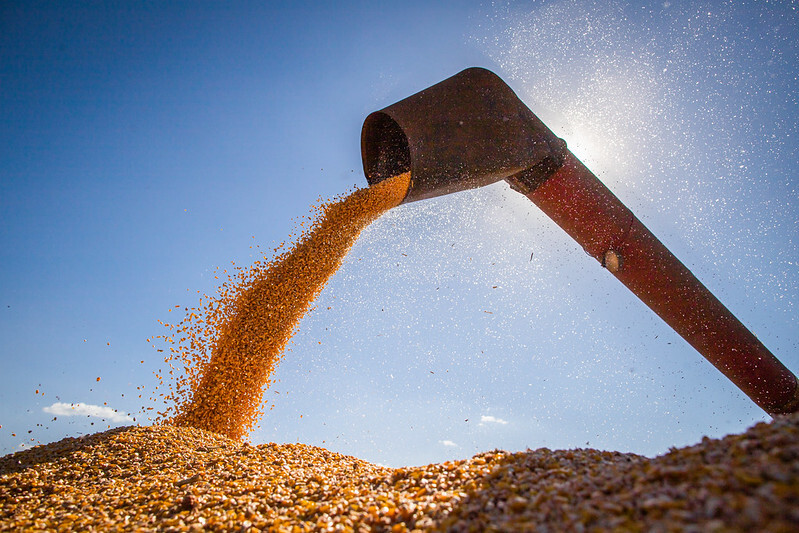 No momento, você está visualizando Campo Futuro levanta custos de produção de quatro cadeias produtivas