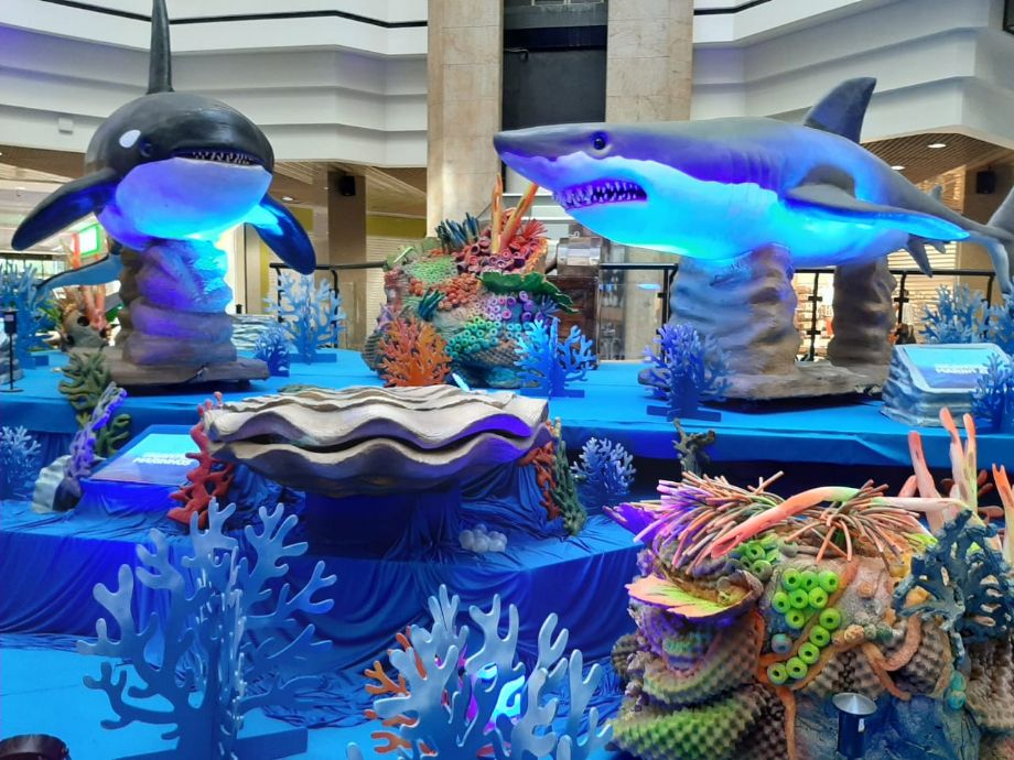 No momento, você está visualizando Exposição ‘O Fantástico Mundo Marinho’ chega a Cuiabá