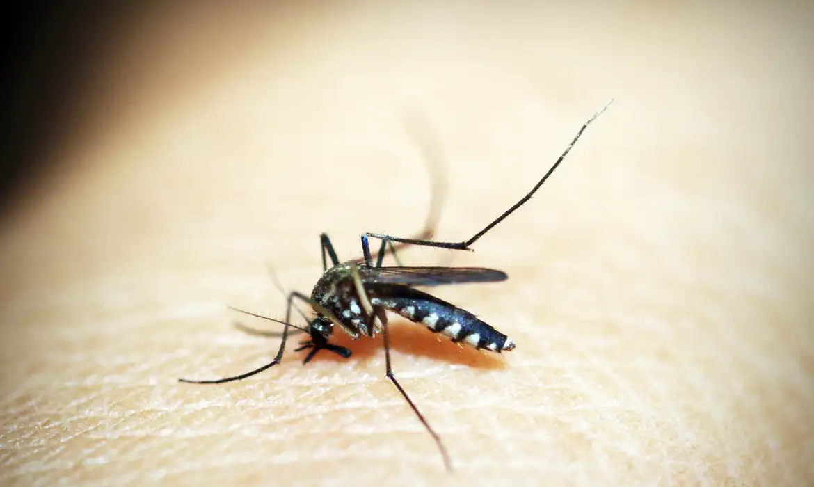 No momento, você está visualizando Governo do Rio de Janeiro decreta fim da epidemia de dengue