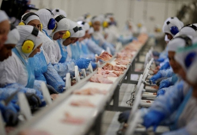No momento, você está visualizando Marfrig oferece 425 vagas de emprego em unidades de Mato Grosso