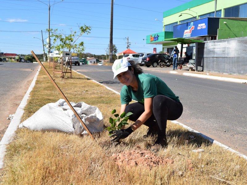 No momento, você está visualizando MEIO AMBIENTE: Prefeitura promove palestras, blitz ecológica e plantio de árvores