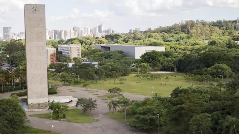 No momento, você está visualizando USP cai para 2º lugar na América Latina em ranking de universidades