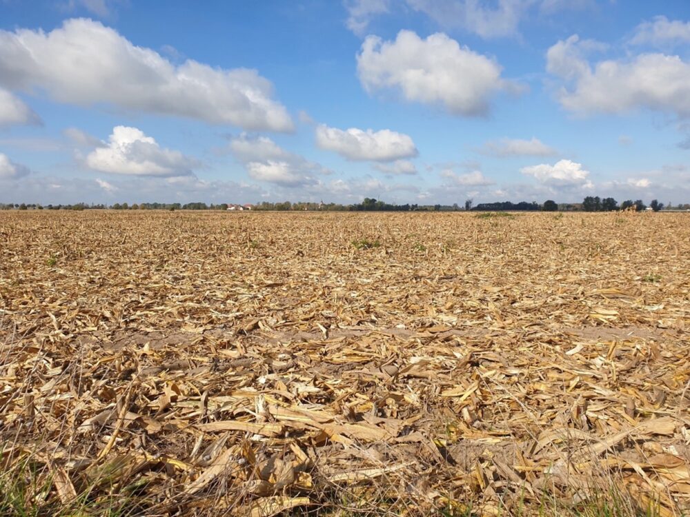 No momento, você está visualizando Do Mar Negro ao Meio-Oeste dos EUA, clima extremo ameaça a produção agrícola