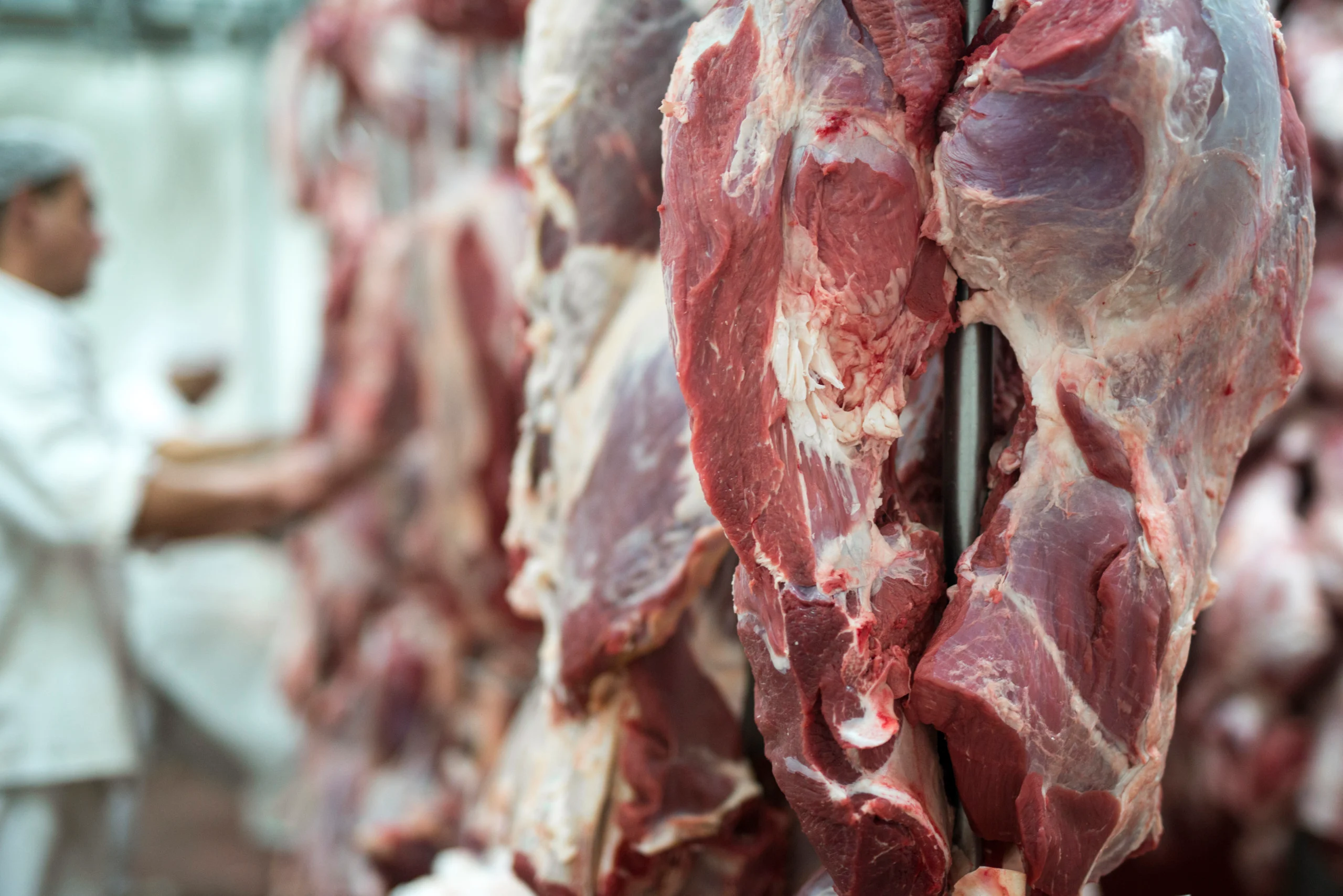 No momento, você está visualizando Exportação de carne bovina no 1º semestre é recorde, com 1,29 milhão de t