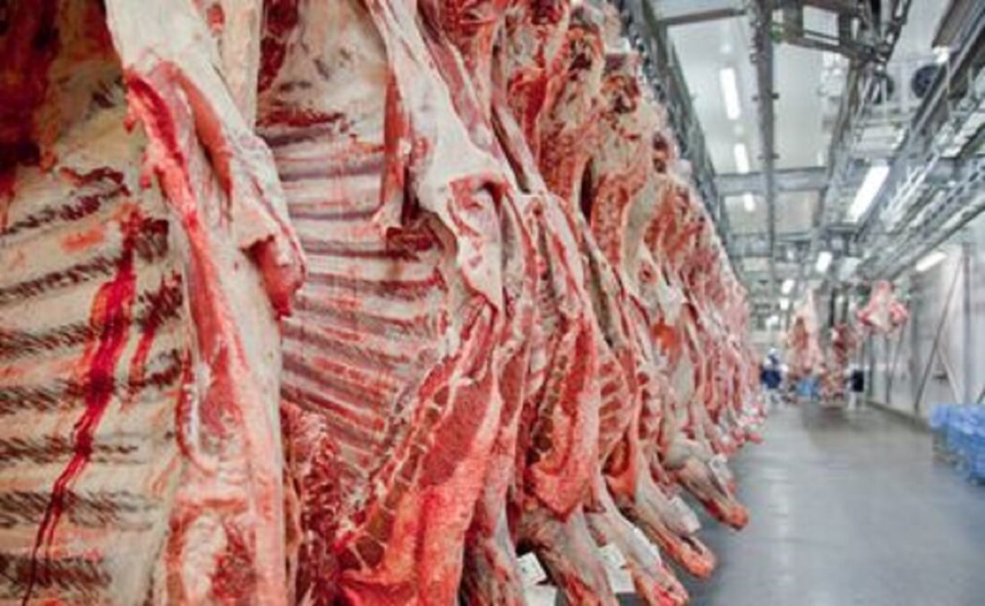 No momento, você está visualizando Produção recorde de carne bovina garante exportações e aumento da oferta