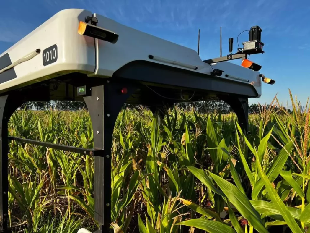 No momento, você está visualizando Tecnologia brasileira usa robôs para diminuir agrotóxicos