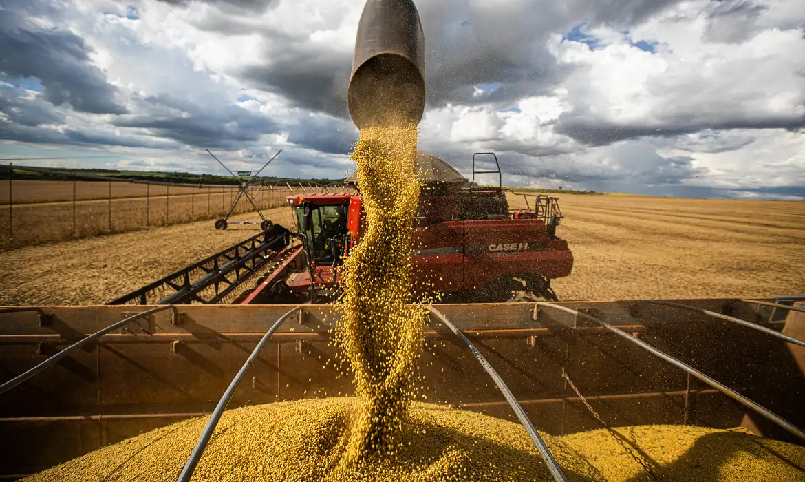 No momento, você está visualizando Exportações do agronegócio em julho batem recorde de US$ 15,44 bilhões