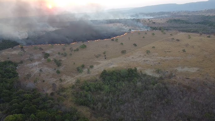 No momento, você está visualizando Barra do Garças é o município que mais queimou áreas do Cerrado em todo o Brasil