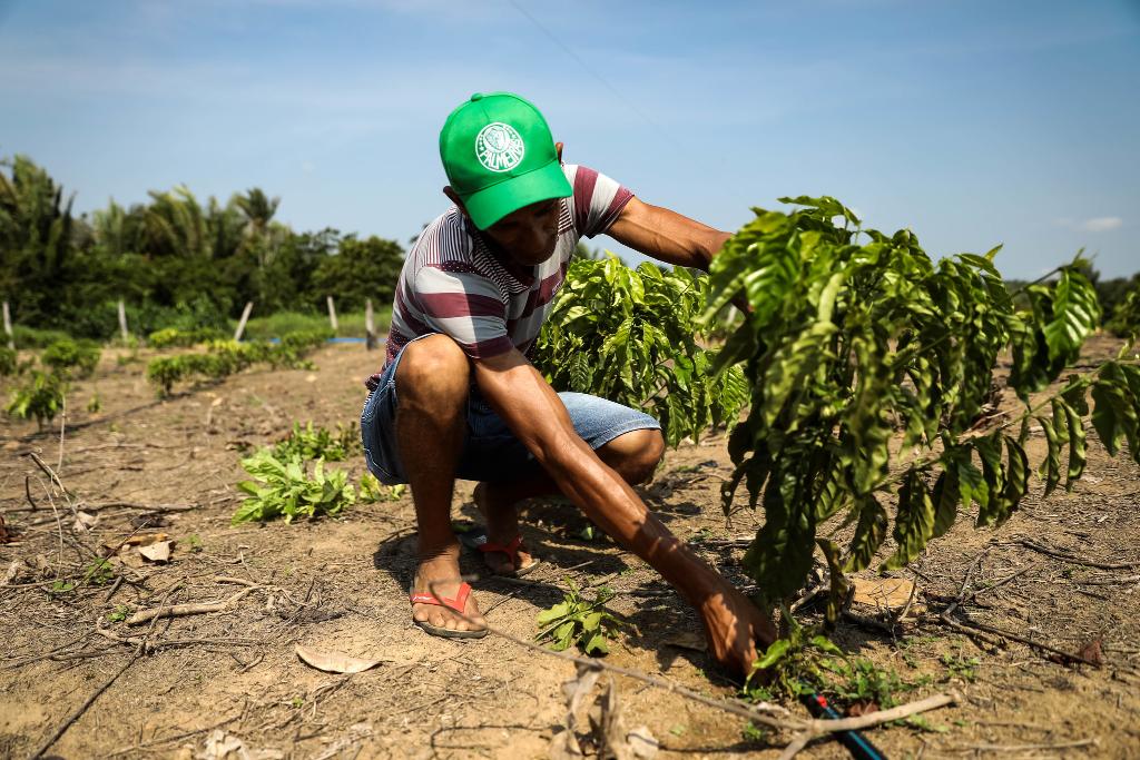 No momento, você está visualizando Fórum internacional debate o papel do agro na segurança alimentar