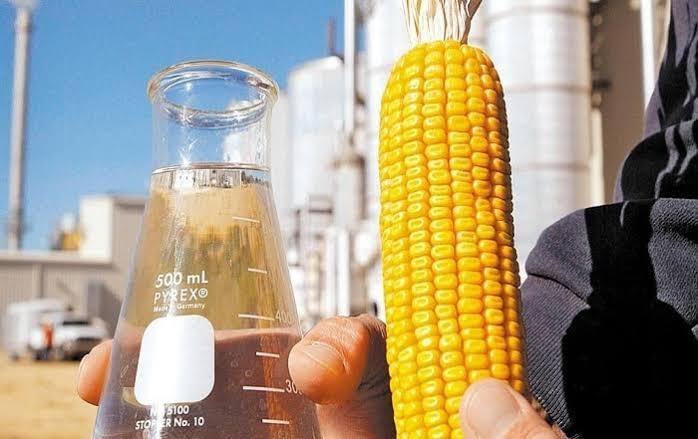 No momento, você está visualizando Mato Grosso vai receber mais uma grande usina de etanol de milho
