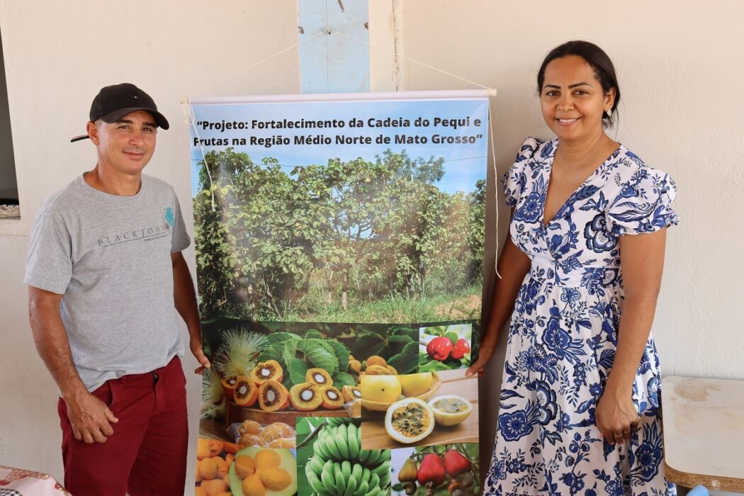 No momento, você está visualizando Programa REM MT fortalece cadeia do pequi no norte de Mato Grosso