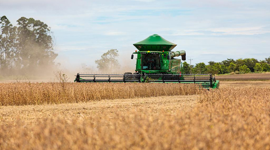 No momento, você está visualizando Sorriso lidera ranking de produção agrícola pelo 5º ano seguido em 2023