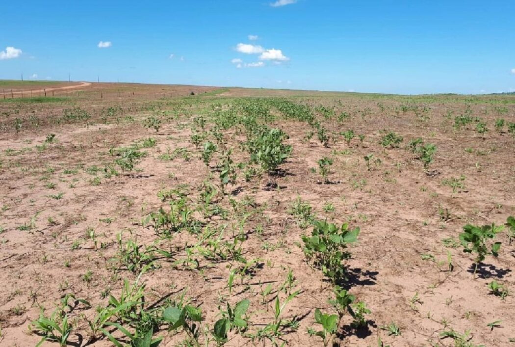 No momento, você está visualizando Temperaturas podem ultrapassar 44°C neste fim de semana na zona da soja