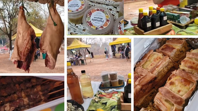 No momento, você está visualizando Conheça a feira comunitária do Formigueiro em VG, criada por agricultora familiar