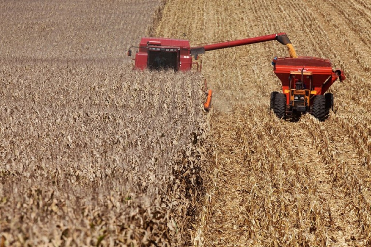 No momento, você está visualizando Mato Grosso lidera ranking dos municípios mais ricos do agro brasileiro