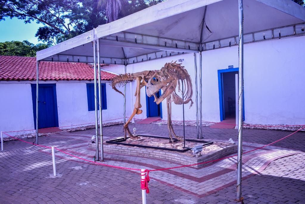 No momento, você está visualizando Confira programação do Museu de História Natural para o mês de novembro