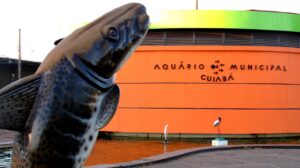 Leia mais sobre o artigo Novo Aquário será maior complexo turístico de Cuiabá