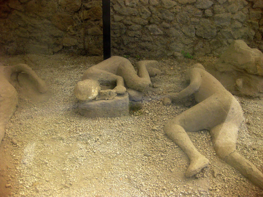 No momento, você está visualizando POMPEIA: DNA revela segredos das vítimas e derruba mitos históricos
