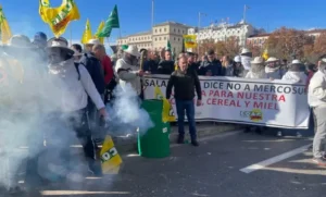 Leia mais sobre o artigo Agricultores espanhóis protestam contra “concorrência desleal” do acordo UE-Mercosul