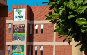 Leia mais sobre o artigo ICMBio abre concurso com 350 vagas e salário de R$ 8,8 mil