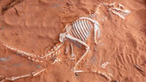 Leia mais sobre o artigo Fósseis de dinossauros com biomoléculas orgânicas são encontrados