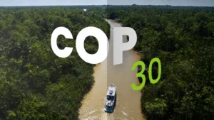 Leia mais sobre o artigo COP30: Brasil deve assumir protagonismo no mercado de carbono