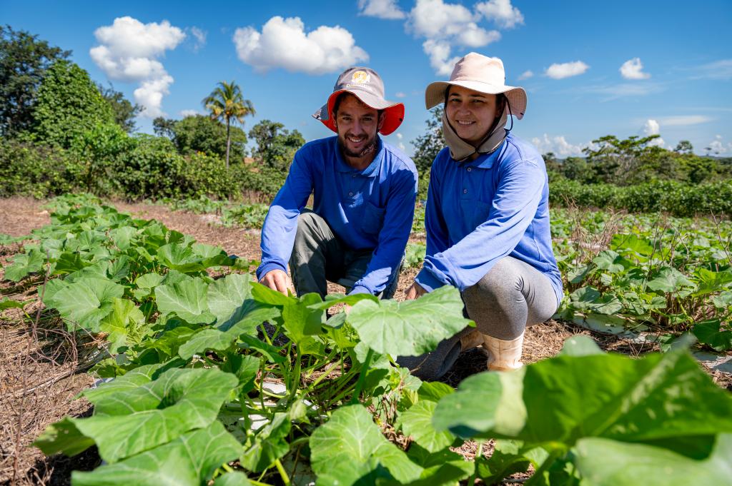 No momento, você está visualizando Governo de MT investiu R$ 720 milhões na agricultura familiar